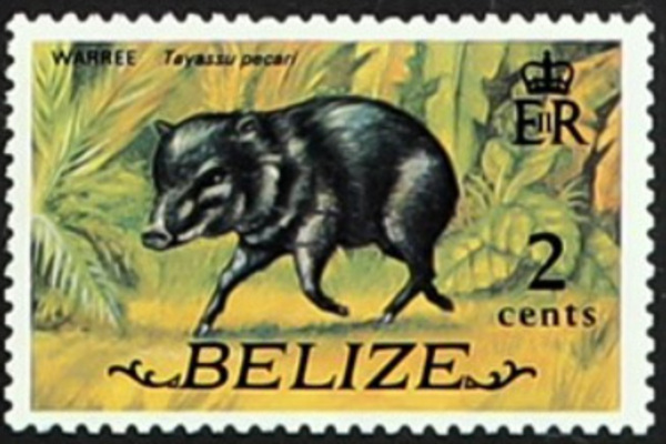  Belize Stamps